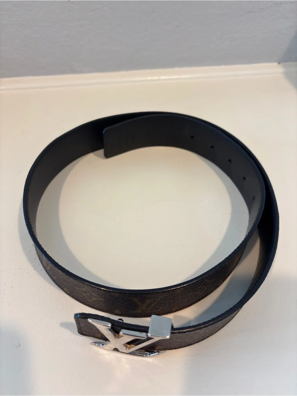 Louis Vuitton authentic louis